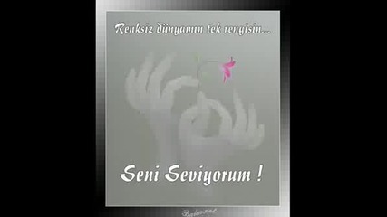 Seni Seviyorum.wmv
