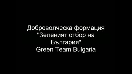 Зеленият отбор - Засаждане 1042 фиданки от Клек(pinus mugo) на Витоша