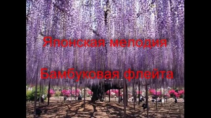 Японска мелодия-банбукова флейта