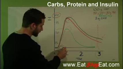 How Much Protein - Carbs, Protein and Insulin