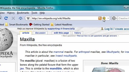 Mozilla Firefox 