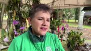 В Богота организираха международен панаир на орхидеята (ВОДЕО)