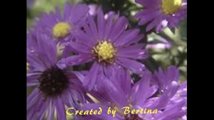 The Autumn Flower.-music Ernesto Cortazar