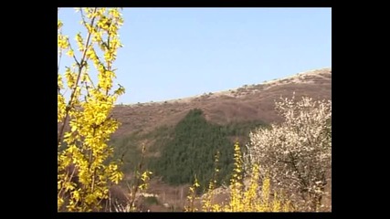 Петруно пиле шарено (караоке)