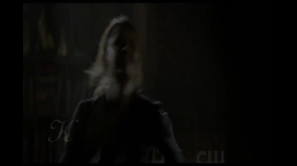 vampires gone wild