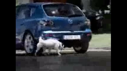 Реклама - Mazda 3 И Куче