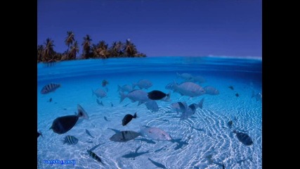 Sound of Summer *radio Edit*