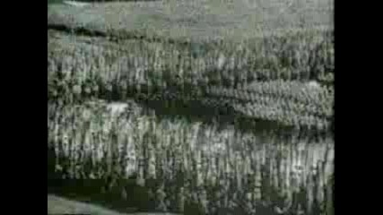Michael Wittmann ( Waffen Ss Tanks ) Part 1 