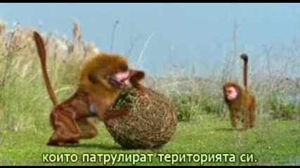 The Future Is Wild(дивото бъдеще) 1_4