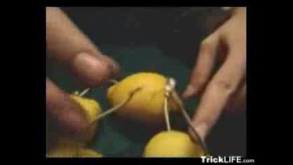 Как Да Превърнем Лимон В Батерия