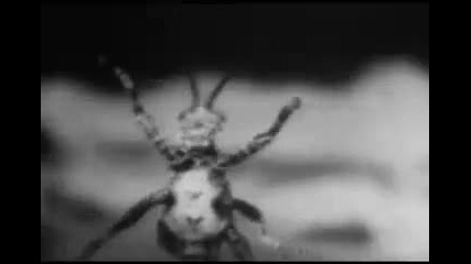 Refused - The Deadly Rhythm 