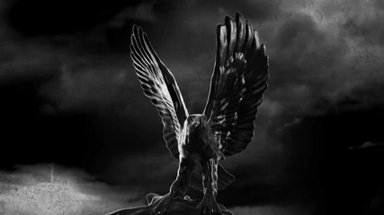 Axn Black
