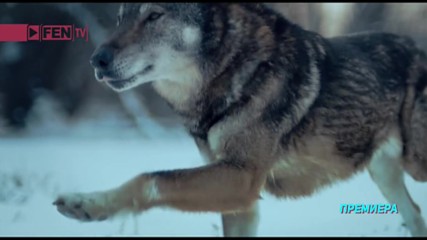 Ceca - Nevinost