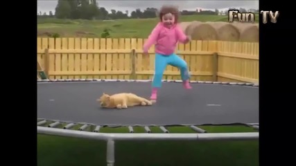 Компилация Смях ! Funny cat - Cute and funny animals Fails compilation
