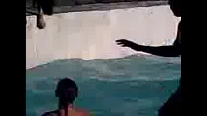 Шони Гони Капки