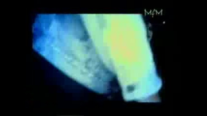 Alexia - Summer Is Crazy