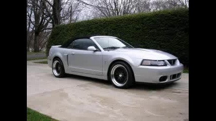 Ford Mustang Cobra