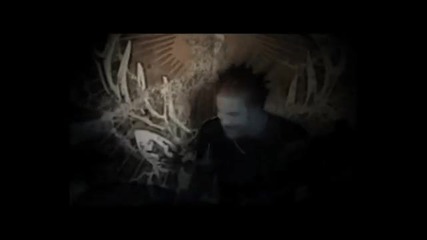 Panic Cell - Black Juice 