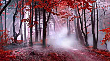 Celtic Folk Music Crimson Fire Woods Beautiful Enchanting Magical