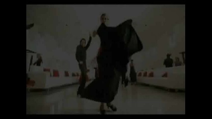 pitbull - crazy