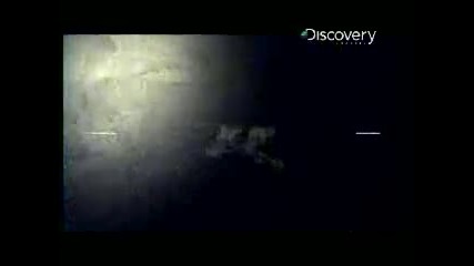 Уловена на видео - момиче нападната от акула!