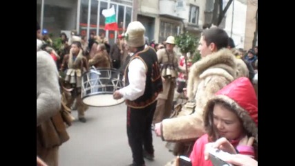 Surva Pernik 2013