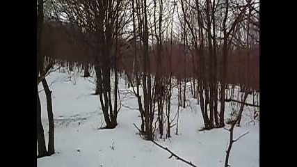Picture 004