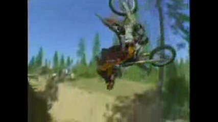 Freestyle Motocross