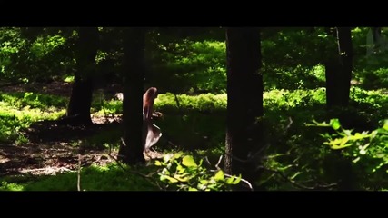 Sander van Doorn - Neon- Hd