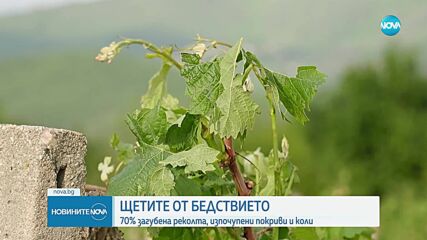 Какви са щетите след градоносната буря в Асеновградско