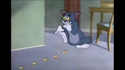 Tom And Jerry