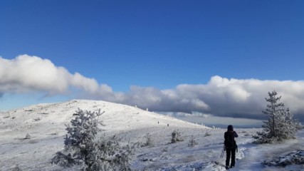 Снежна ветровита Витоша / Snowy Vitosha mountain view, Bulgaria