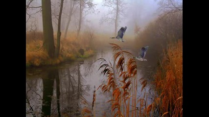 Chris Spheeris