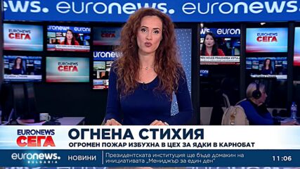 Голям пожар пламна в цех за ядки в Карнобат