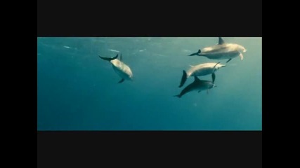 Sarah Brightman & Gregorian - Moment of Peace