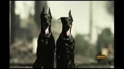 Galena Ne pred horata (offical video)