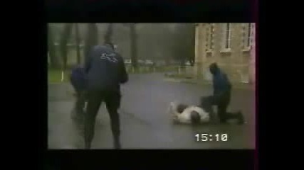 Attack Dogs
