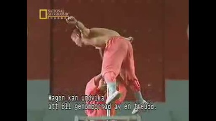 Истинската Сила - Shaolin Kung Fu