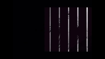 M I L E Y 