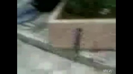 Много Смях ! Ритни ме Отзад