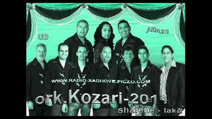 2.trak album .2011.орк Козари dj.pirata
