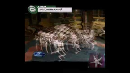 Music Idol 3, Епизод 4 - 4