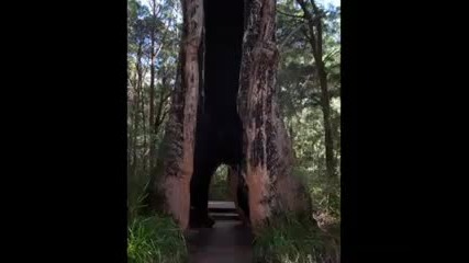 Kenny G - You Raise Me Up