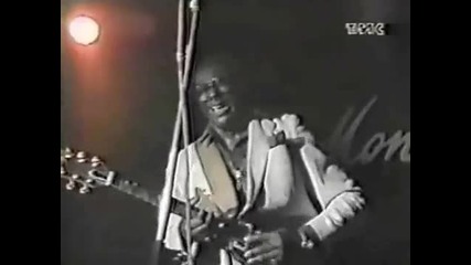 Albert King - The Sky Is Crying - Live at Montreux 