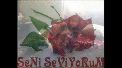 priqtelki aiten cani isevim