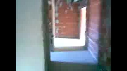 sashko 1