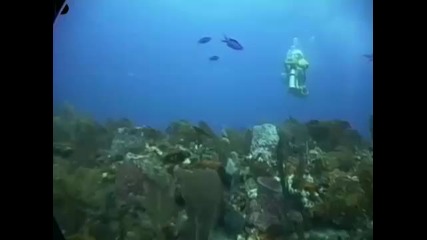 невероятно колело под водата 