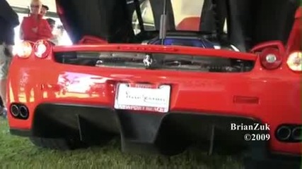 Ferrari Enzo Revving 
