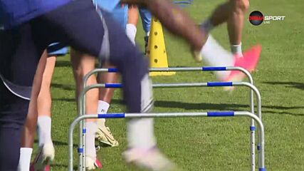 Груич преди мача с Пилзен