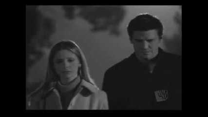 Buffy And Angels Love